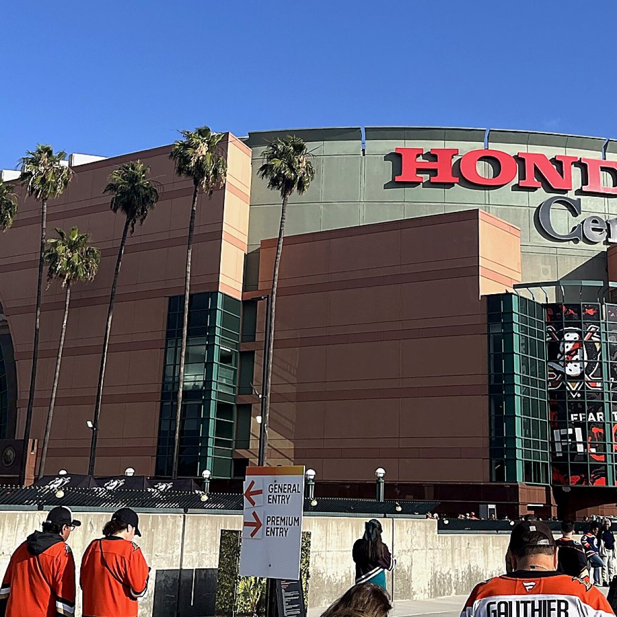 Anaheim Ducks