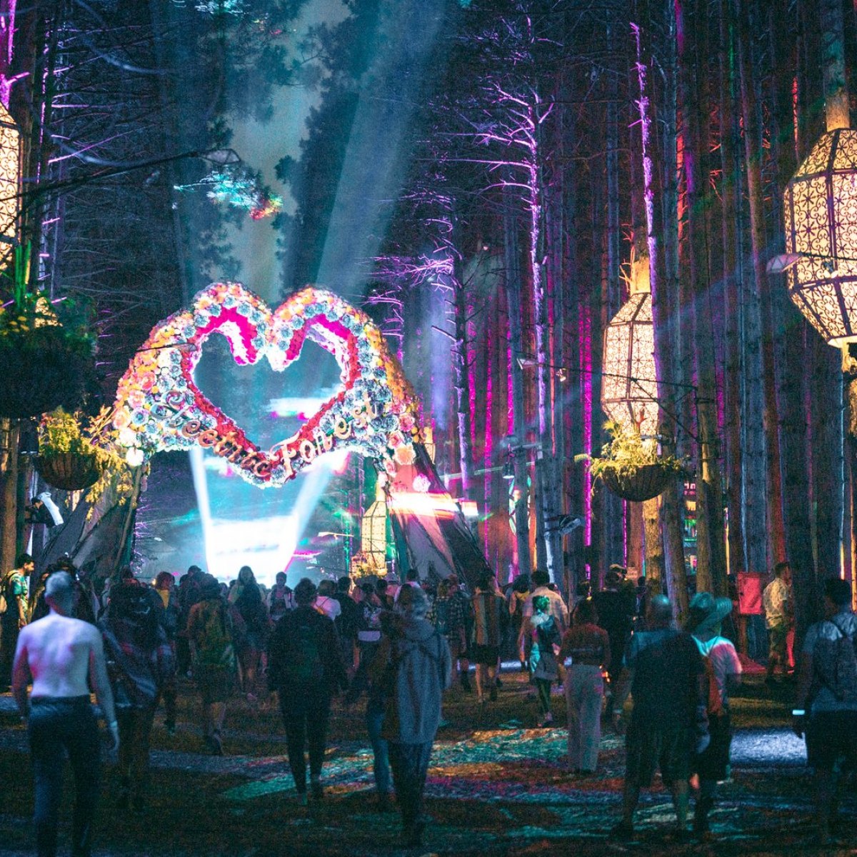 Electric Forest