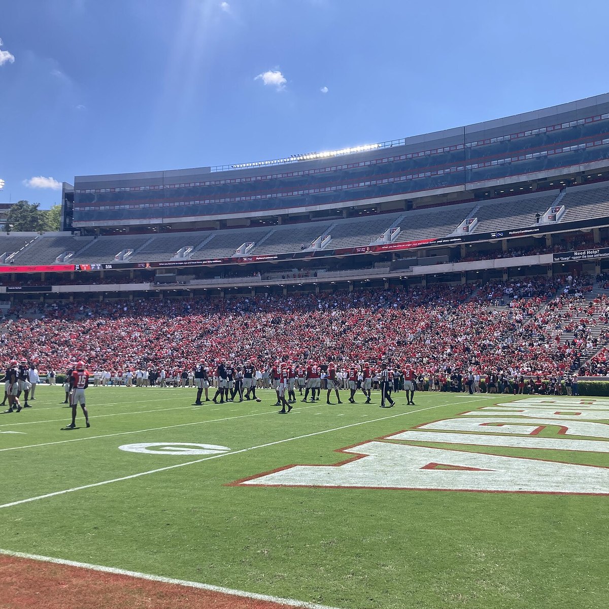 Georgia Bulldogs