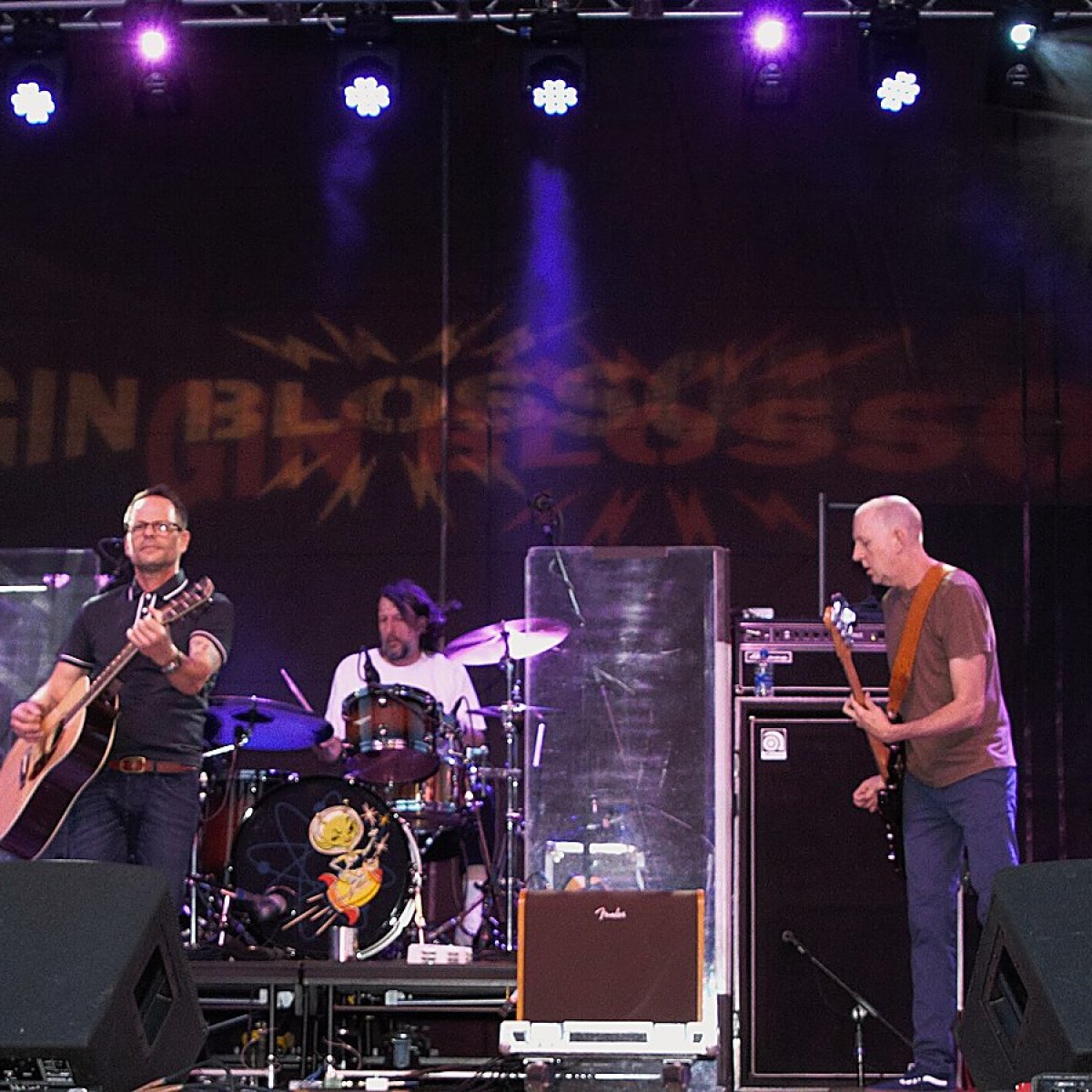 Gin Blossoms