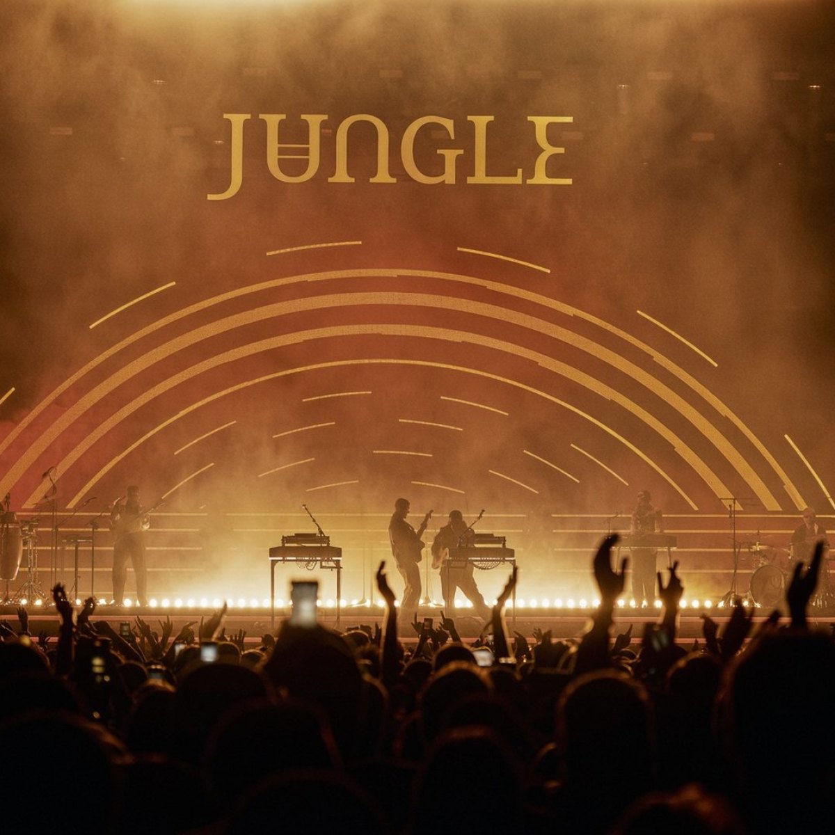Jungle