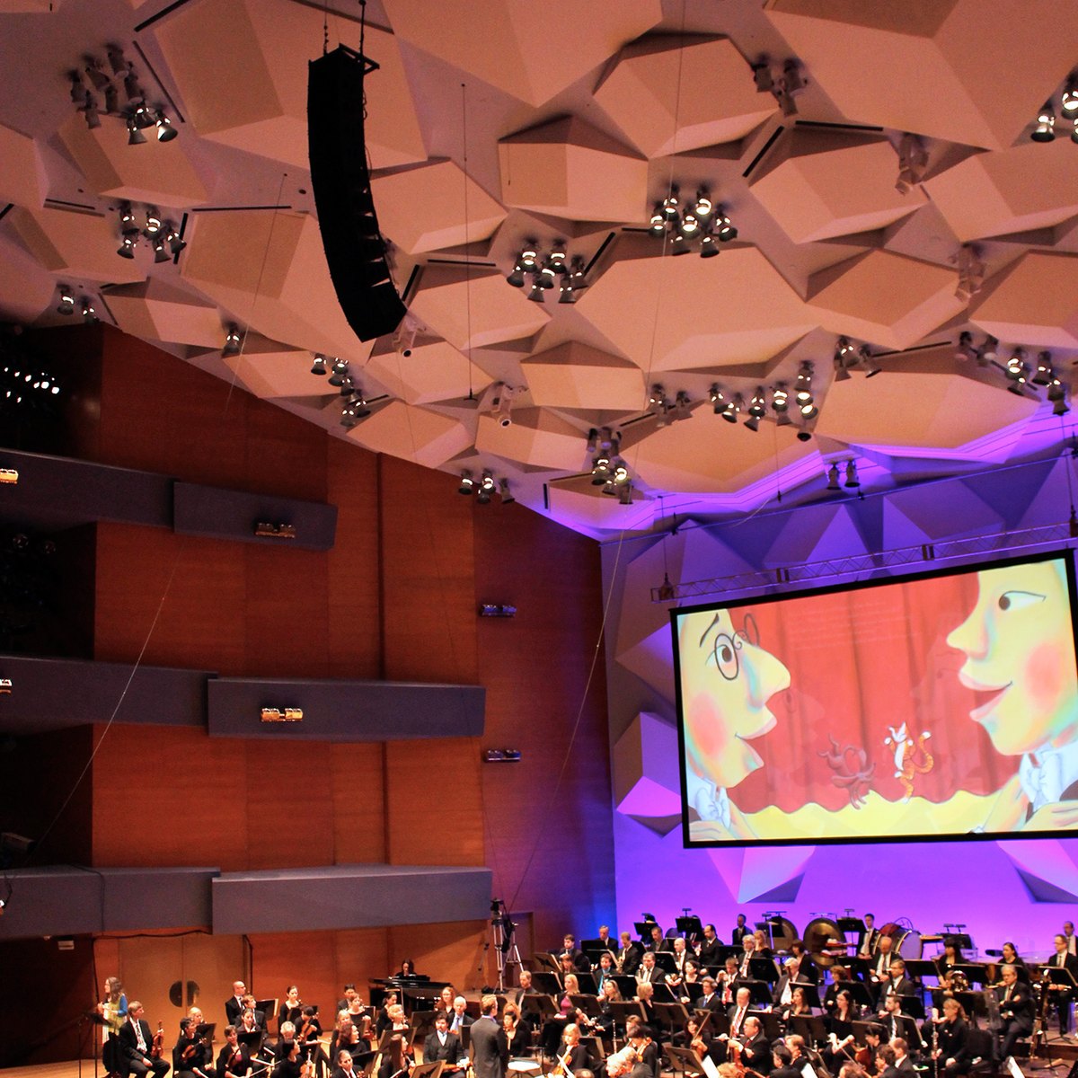 Minnesota Orchestra