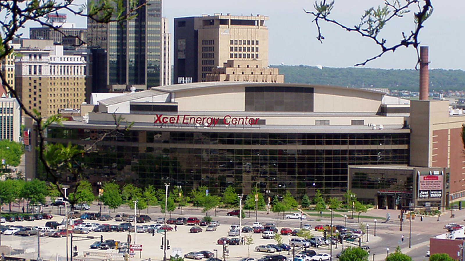 Minnesota Wild