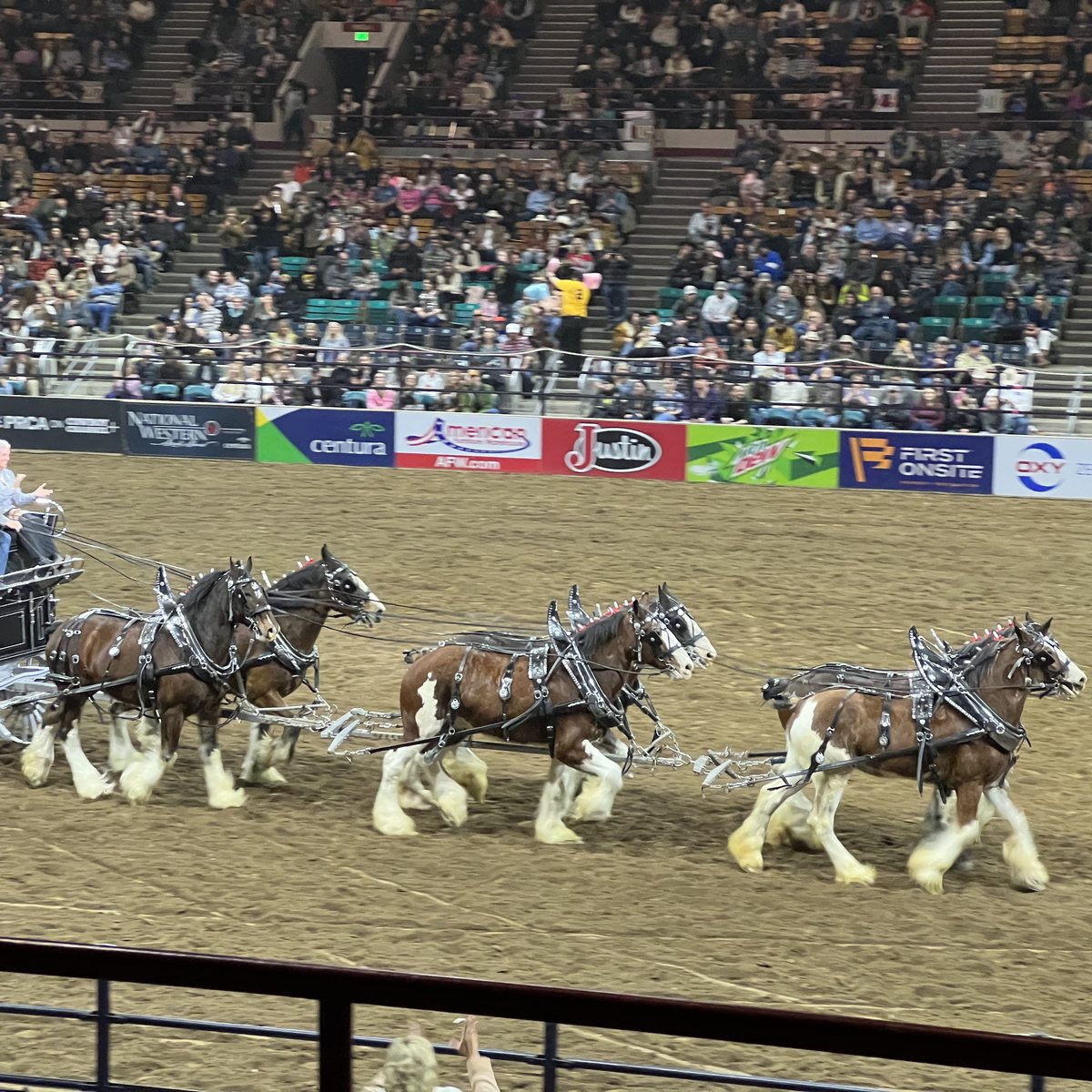 National Western Stock Show