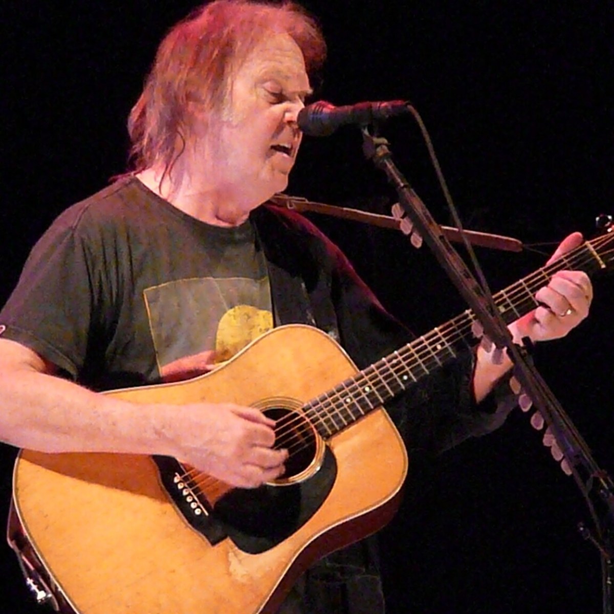 Neil Young Willie Nelson at TD Pavilion at The Mann Center For The Performing Arts