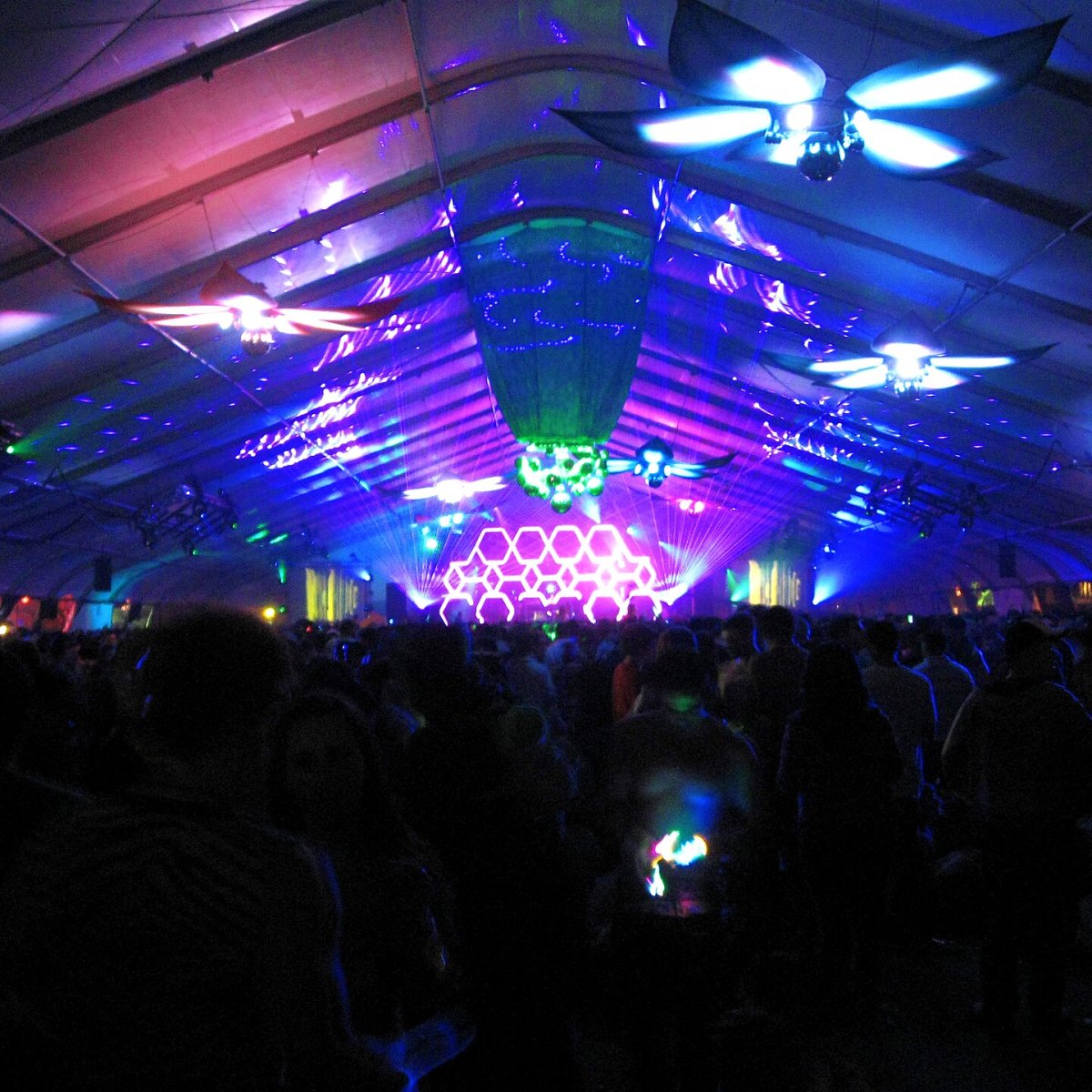 Nocturnal Wonderland