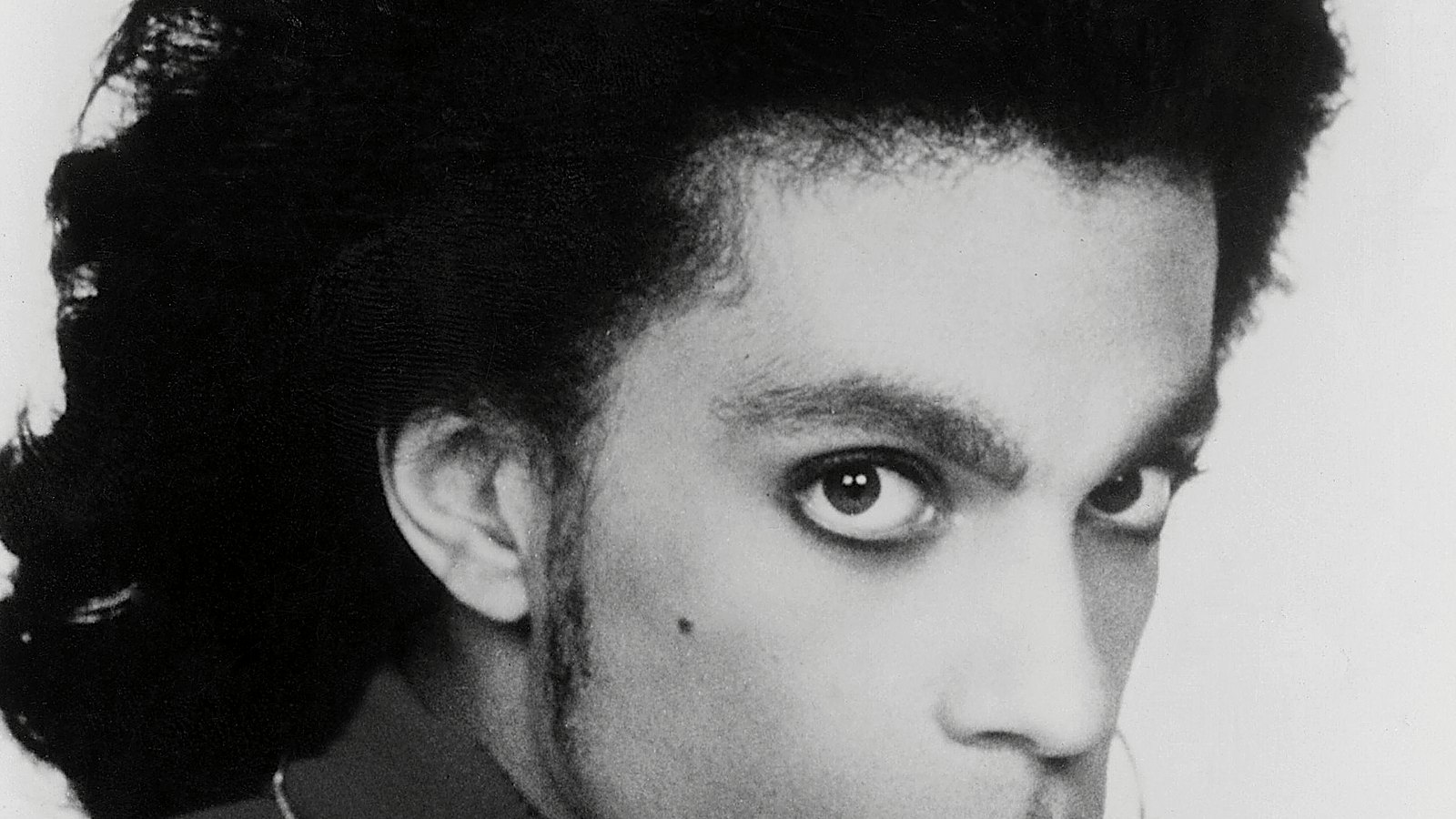 Purple Reign — Prince Tribute