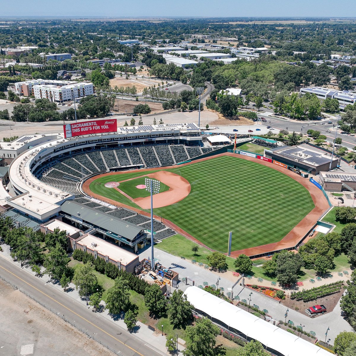 Sacramento River Cats