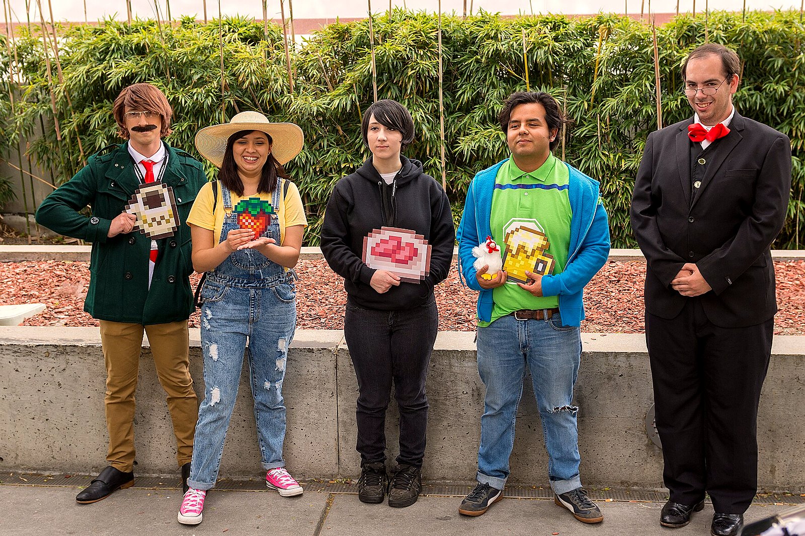 Stardew Valley: Symphony of Seasons