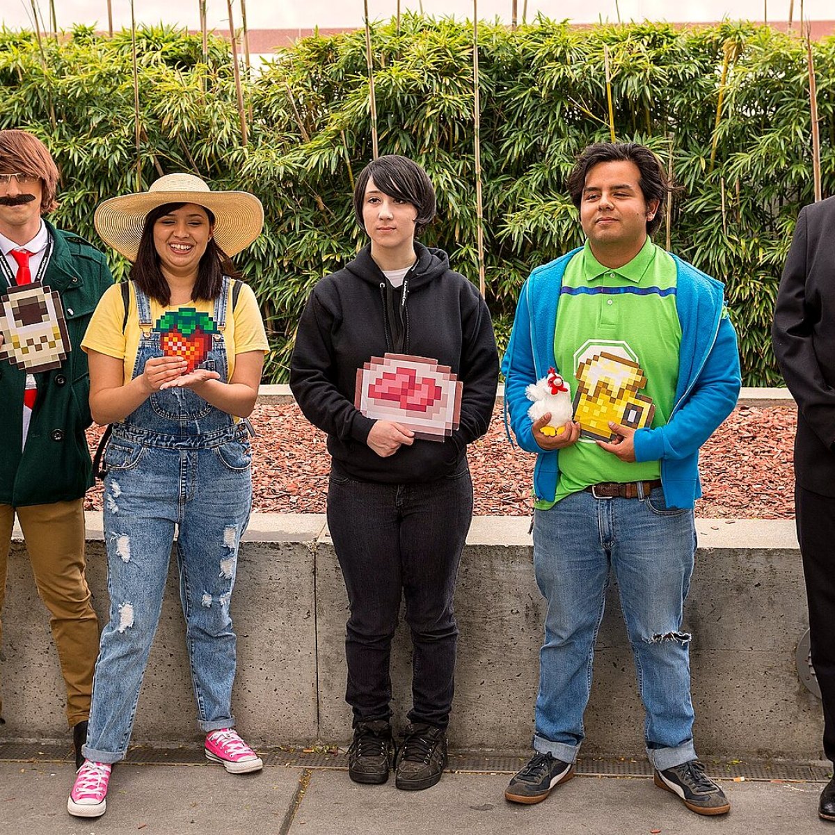 Stardew Valley: Symphony of Seasons