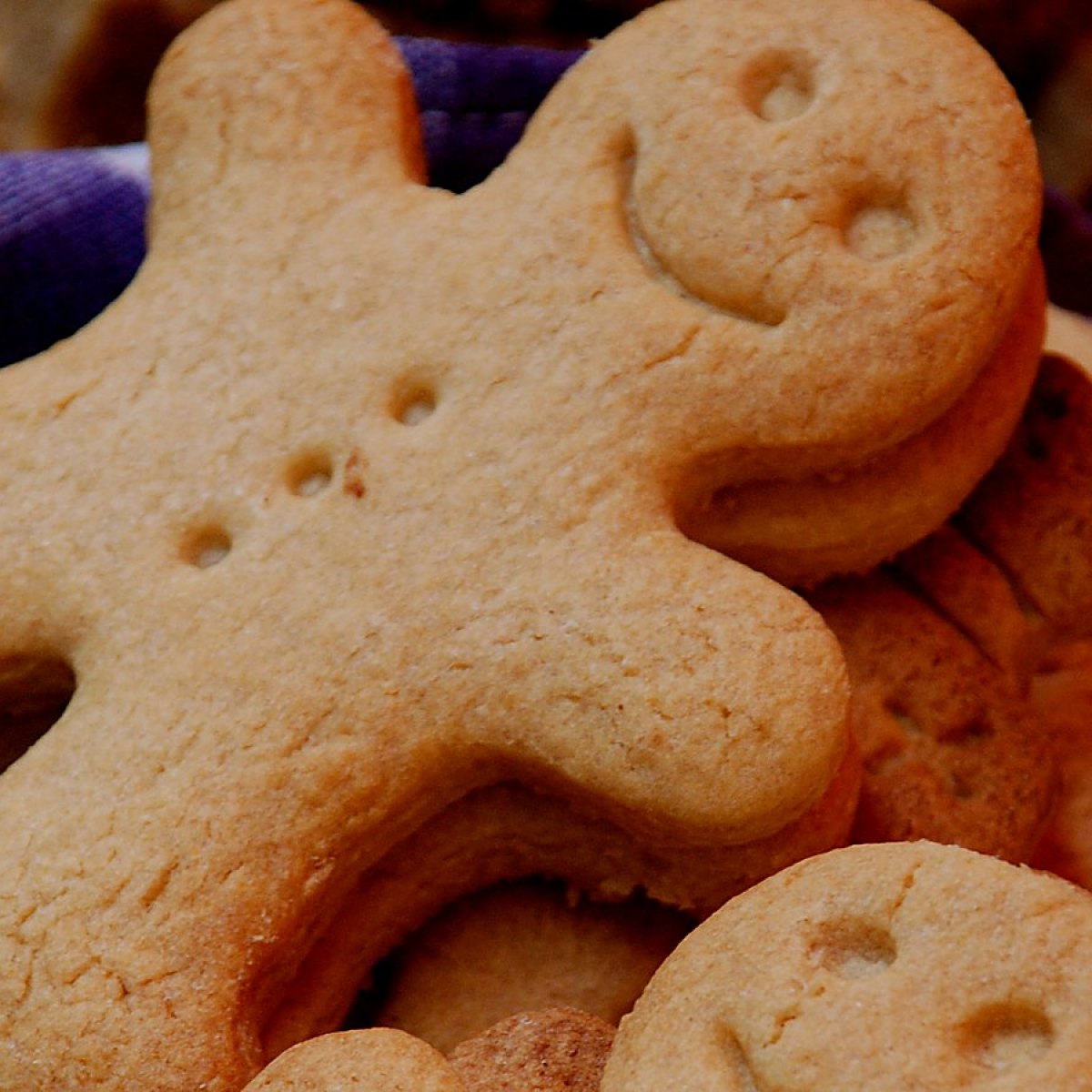 The Gingerbread Kid