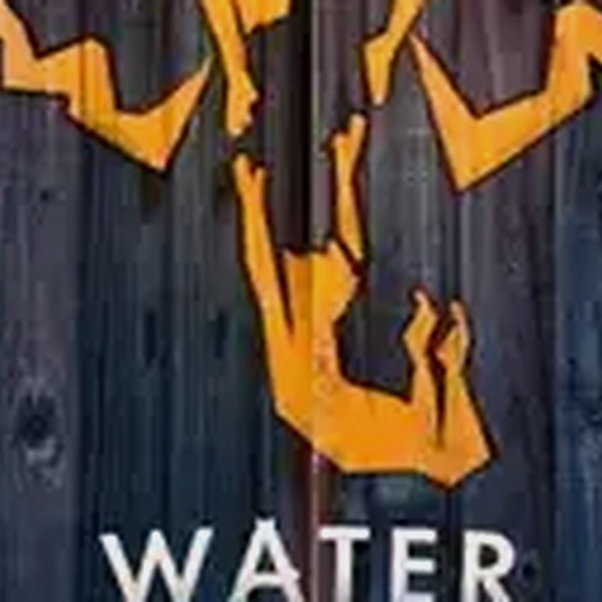 Water For Elephants The Musical