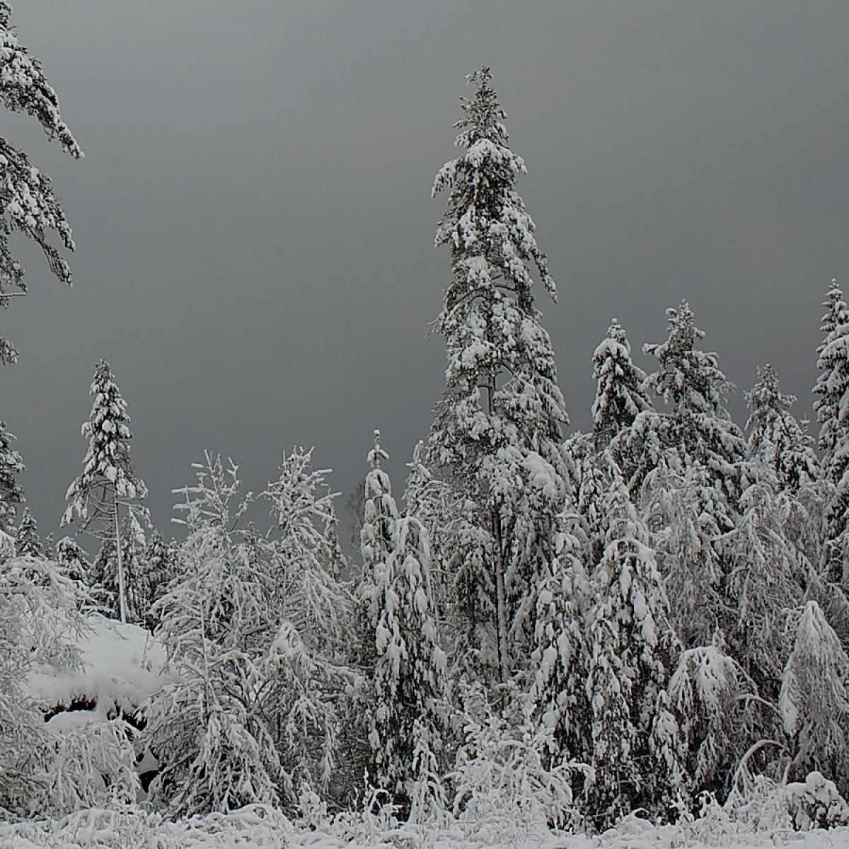 Winter In The Air at Broadway Theater - MB